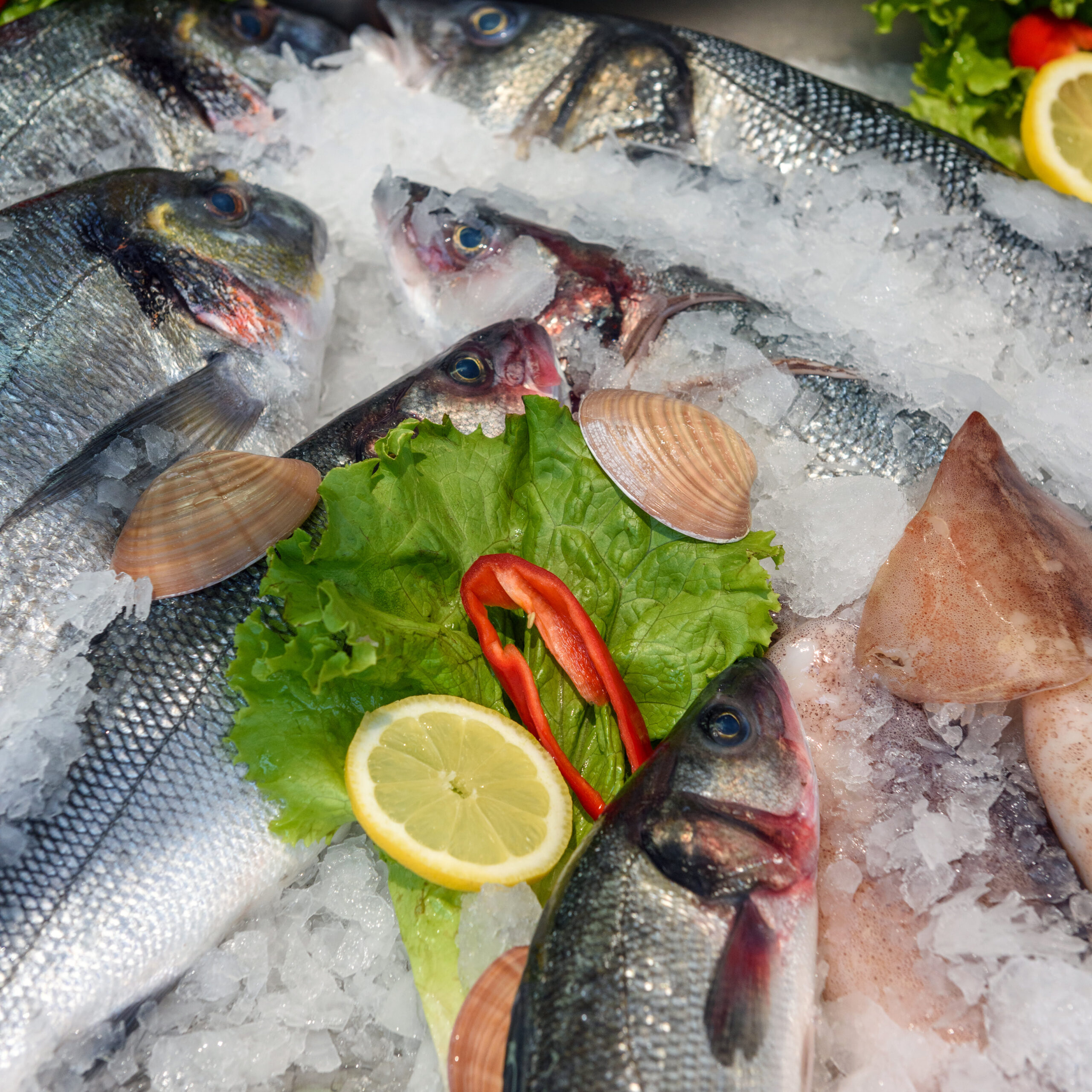 Pemborong%20Maju%20A&A